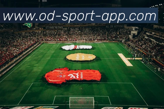 OD体育平台生态图