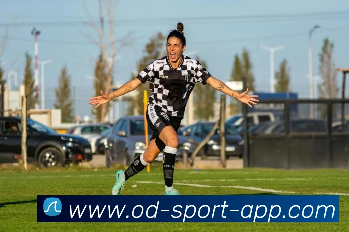 OD体育APP 封面图